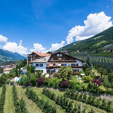 Pension Zum Burggraefler Scena Exterior foto