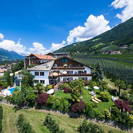 Pension Zum Burggraefler Scena Exterior foto