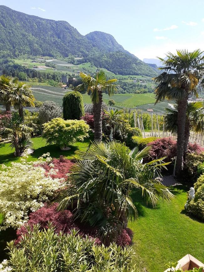 Pension Zum Burggraefler Scena Exterior foto