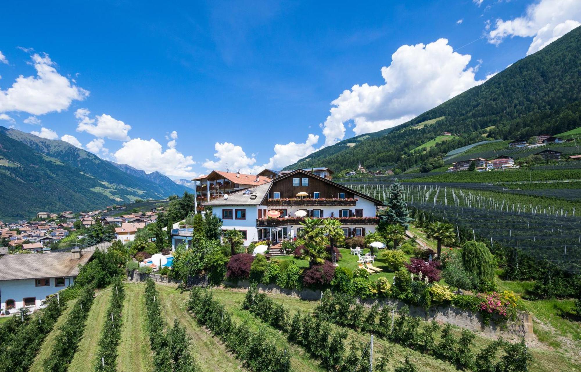Pension Zum Burggraefler Scena Exterior foto